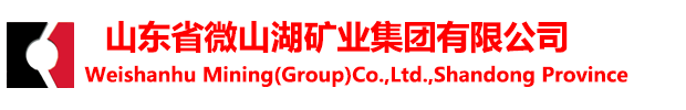 金彩汇