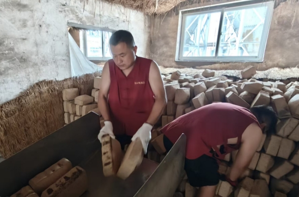 高温坚守制曲工序 匠心筑牢酒体品质